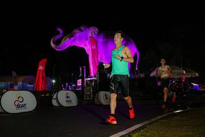 BIB: 
                            <button type="button" onclick="openModal(26543656)" class="btn btn-primary btn-sm float-right btn-popup" data-toggle="modal" data-target=".modal-high-quality">
                        <i class="fas fa-shopping-cart"></i> Add to Cart
                    </button>
                                            <button type="button" onclick="isThisMe(26543656, true)" class="btn btn-success btn-sm float-right btn-popup btn-isme hidden" data-toggle="tooltip" data-placement="bottom" title="นี่คือรูปของคุณใช่ไหม คลิกที่นี่เพื่อเอาเข้าอัลบั้ม">
                        <i class="fas fa-plus"></i> Add to album
                    </button>
                    <button type="button" onclick="isThisMe(26543656, false)" class="btn btn-warning btn-sm float-right btn-popup btn-isnotme hidden">
                        <i class="fas fa-ban"></i> Remove from album
                    </button>